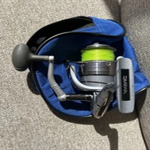Dawa Spinning Fishing Reel