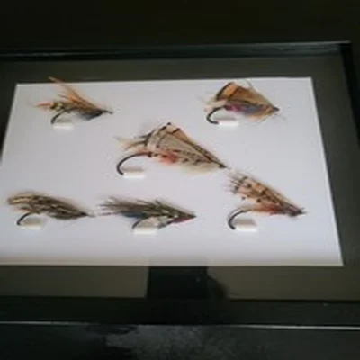 Vintage fly fishing equipment Early I900s 6 Gut Eye Salmon Flie's 