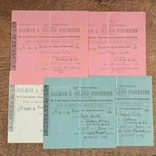 Set Of Five Early Twentieth Century Irish Salmon Fishing Licences