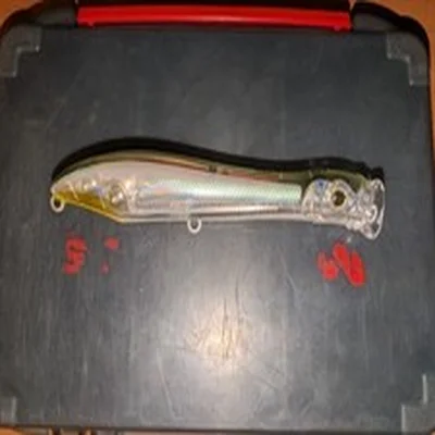 Xorus PopChinko Fishing Lure