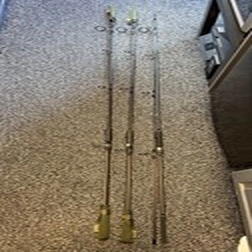 Sonik 4 XTR 12ft 3.0lb  X3Carp Rods