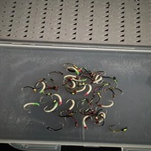 Buzzer Fly Fishing Wet Trout