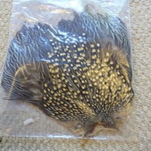 Jungle Cock Cape