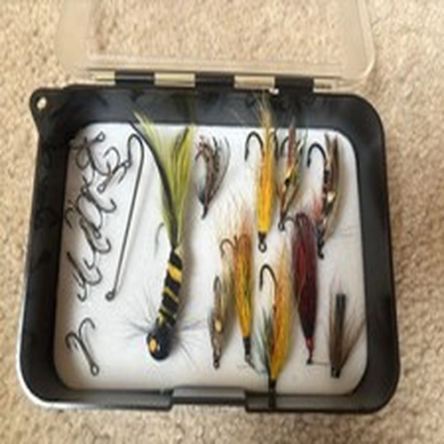 10 Assorted Salmon Flies And Hooks In Box