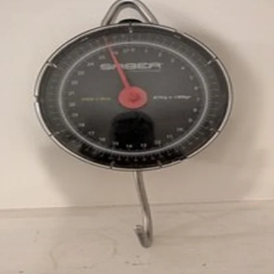 SABER SL24 60lb Fishing Carp Scales