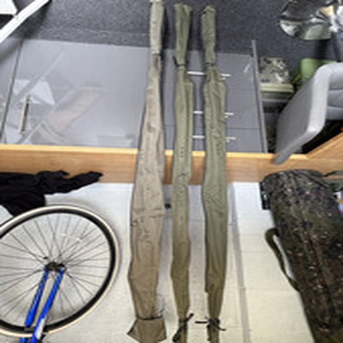 Carp rods